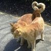 thecatjenn